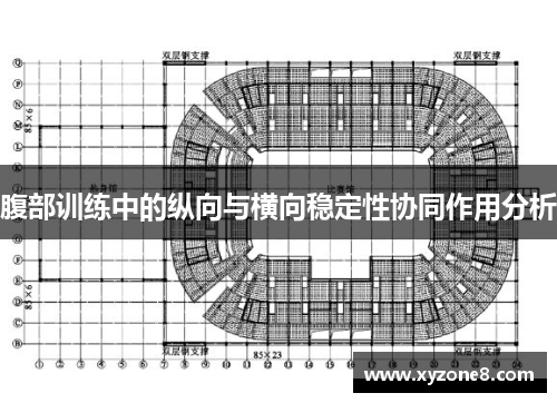 腹部训练中的纵向与横向稳定性协同作用分析